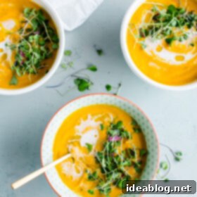 Soulful Vegan Garam Masala Carrot Puree 2 Vegan Garam Masala Carrot Soup
