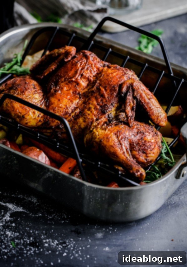 Aromatic Spiced Middle Eastern Chicken & Veggie Bake 7 Aromatic Middle Eastern Roast Chicken with Leeks, Carrots, and Potatoes