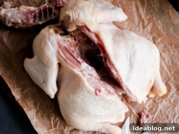 Flat Chicken Big Flavor 6 How to Spatchcock a Chicken showing the completely removed backbone and the chicken partially flattened.