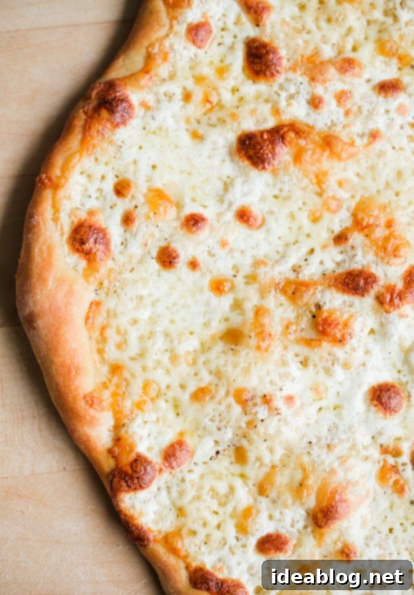 Lemon Truffle Arugula Pizza. A cheese pizza topped with a lemon truffle oil arugula salad! This elegant simple homemade pizza is a crowd favorite!  Cheese Pizza