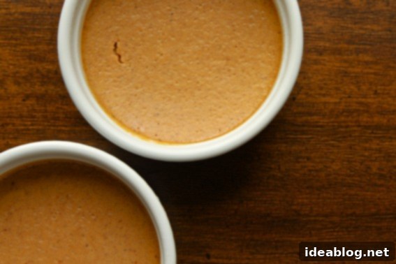 Simple Pumpkin Pie Custard in a ramekin, garnished lightly