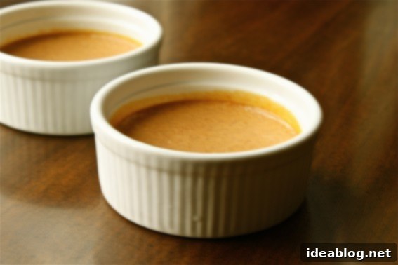 Two ramekins of Simple Pumpkin Pie Custard ready to eat with spoons