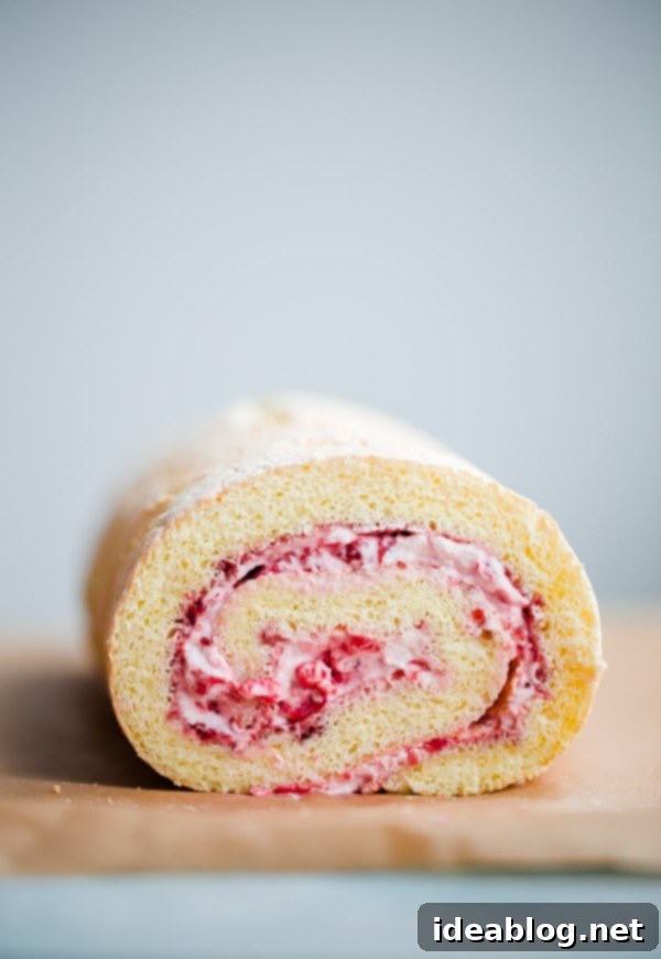 Raspberry roll cake – vanilla sponge roll cake filled with fresh raspberries, raspberry preserves, and vanilla whipped cream. This light summer cake recipe is a family favorite! #rollcake #spongecake #raspberry #abeautifulplate #recipe #dessert  How to Make a Raspberry Roll Cake