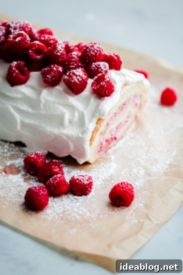 Raspberry roll cake – vanilla sponge roll cake filled with fresh raspberries, raspberry preserves, and vanilla whipped cream. This light summer cake recipe is a family favorite! #rollcake #spongecake #raspberry #abeautifulplate #recipe #dessert  Raspberry Roll Cake