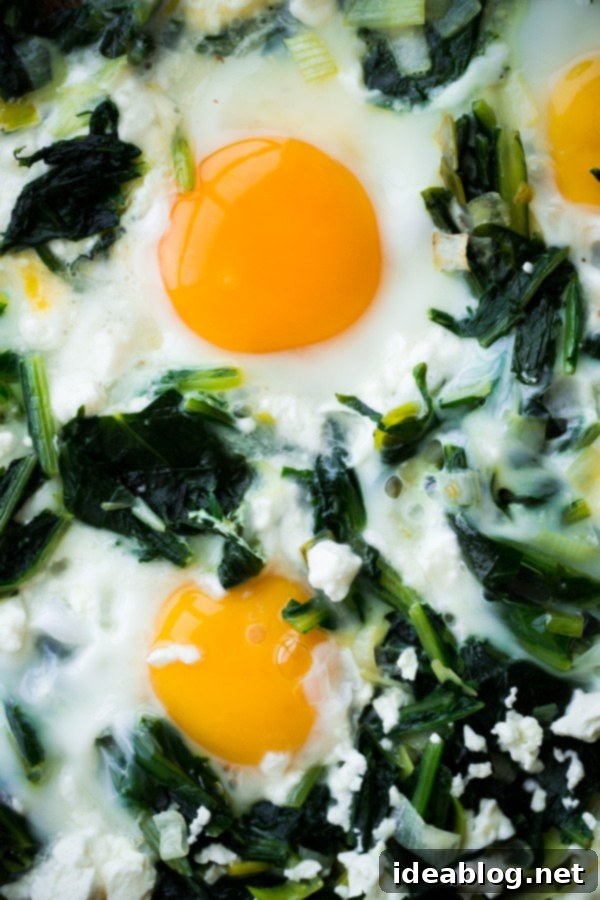 Sautéed Dandelion Greens and Eggs 4 Sautéed Dandelion Greens with golden fried eggs