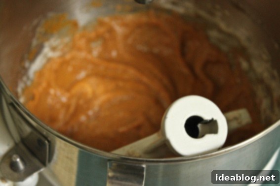 Wholesome Spelt Carrot Pumpkin Muffins 3 Carrot Pumpkin Spelt Muffin Batter
