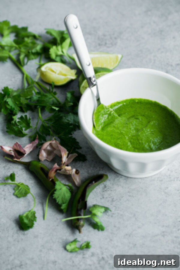 Homemade Green Chile Adobo Sauce: The perfect spicy, zesty, and herby accompaniment to grilled seafood, meat, or vegetarian dishes! Homemade Green Chile Adobo Sauce