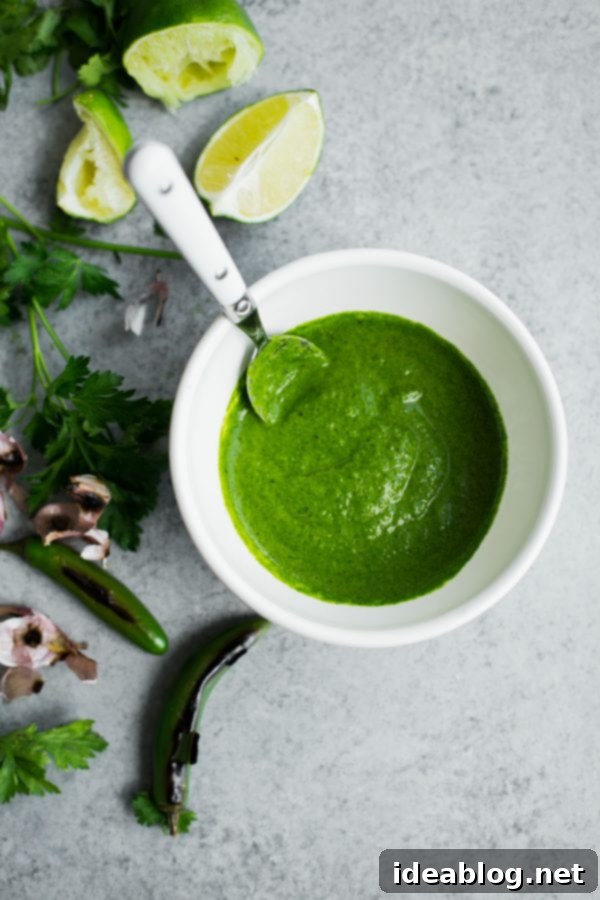 This spicy, zesty, and herby green chile adobo sauce is the perfect accompaniment to grilled seafood, meat, or vegetarian dishes!  Green Chile Adobo Sauce Drizzled on Food
