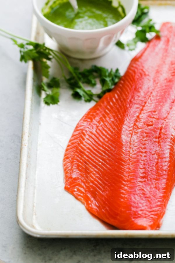 Sockeye Seared with Green Chile Adobo and Zesty Frisée 6 Wild Alaska Sockeye Salmon