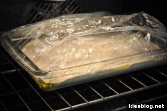 Rustic No-Knead Whole Wheat Cheesy Focaccia 6 Whole Wheat No-Knead Focaccia Bread with a shower cap covering the dough