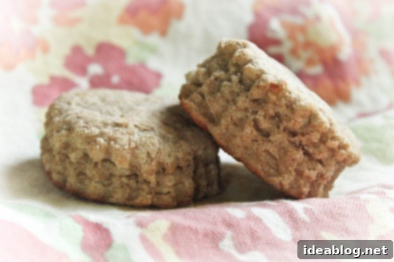 Hearty Whole Wheat Biscuits 2 Delicious and healthy easy homemade whole wheat biscuits