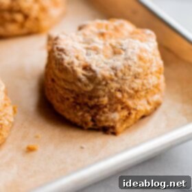 Hearty Whole Wheat Biscuits 4 Easy Whole Wheat Biscuits