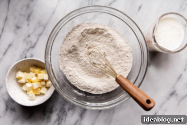 Hearty Whole Wheat Biscuits 5 Dry ingredients and cold butter for Whole Wheat Biscuits