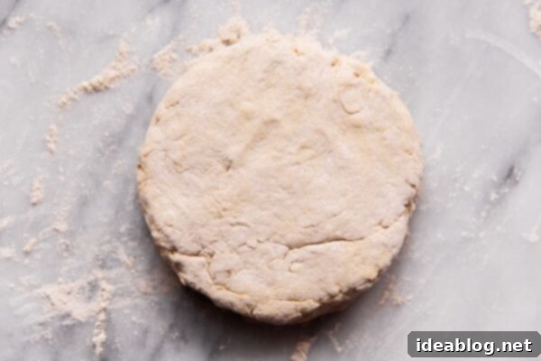 Hearty Whole Wheat Biscuits 8 Cutting Whole Wheat Biscuit Dough