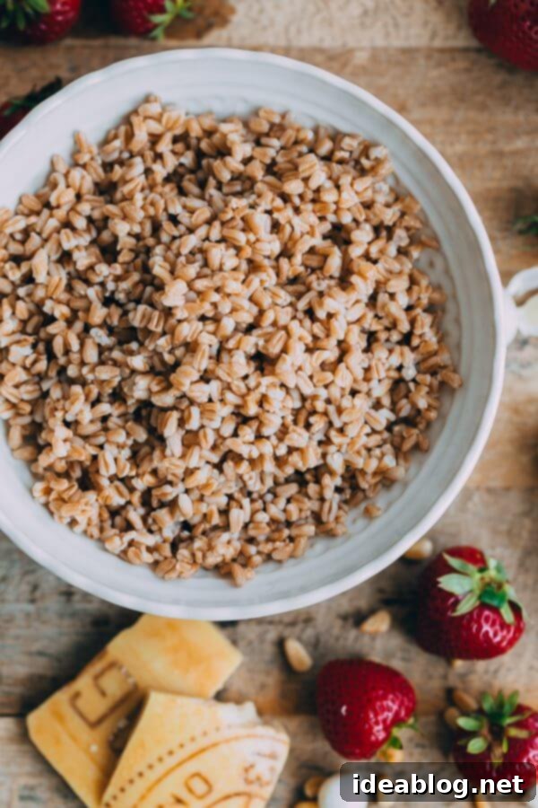 Strawberry Caprese Farro Salad. Hearty farro is tossed with homemade pesto, strawberries, tomatoes, and mozzarella cheese to create this beautiful summer grain salad! #salad #abeautifulplate #recipe #farro #caprese #mozzarella Cooked Farro