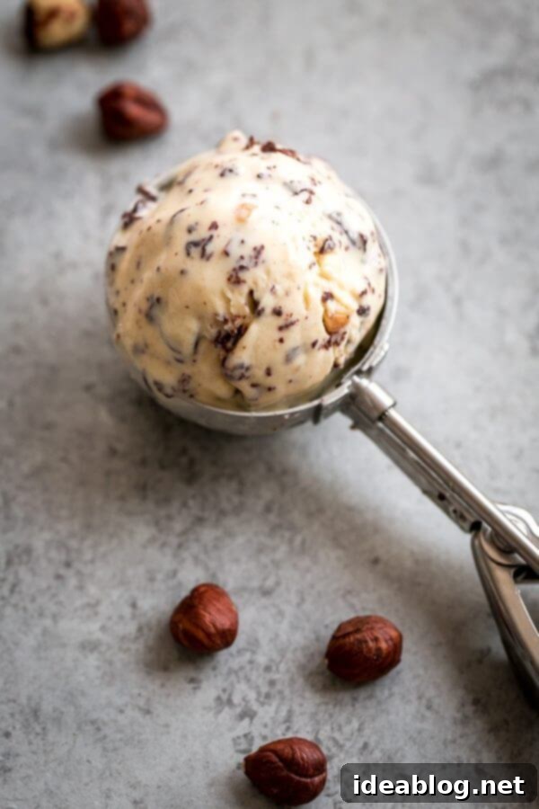 Homemade Chocolate Hazelnut Ice Cream - this rich homemade chocolate hazelnut ice cream doesn't skimp on hazelnut flavor. A creamy traditional ice cream base is infused with homemade hazelnut butter. Just as it finishes churning, we'll slowly pour in melted semi sweet chocolate chocolate to create the most delectable chocolate bits throughout! This is a special occasion ice cream recipe that's worth the extra effort. #dessert #recipe #icecream #hazelnut #chocolate A serving of Homemade Chocolate Hazelnut Ice Cream in a bowl, with a spoon.