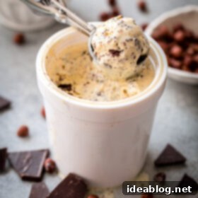 Velvet Chocolate Hazelnut Indulgence 2 Homemade Chocolate Hazelnut Ice Cream served in a bowl.