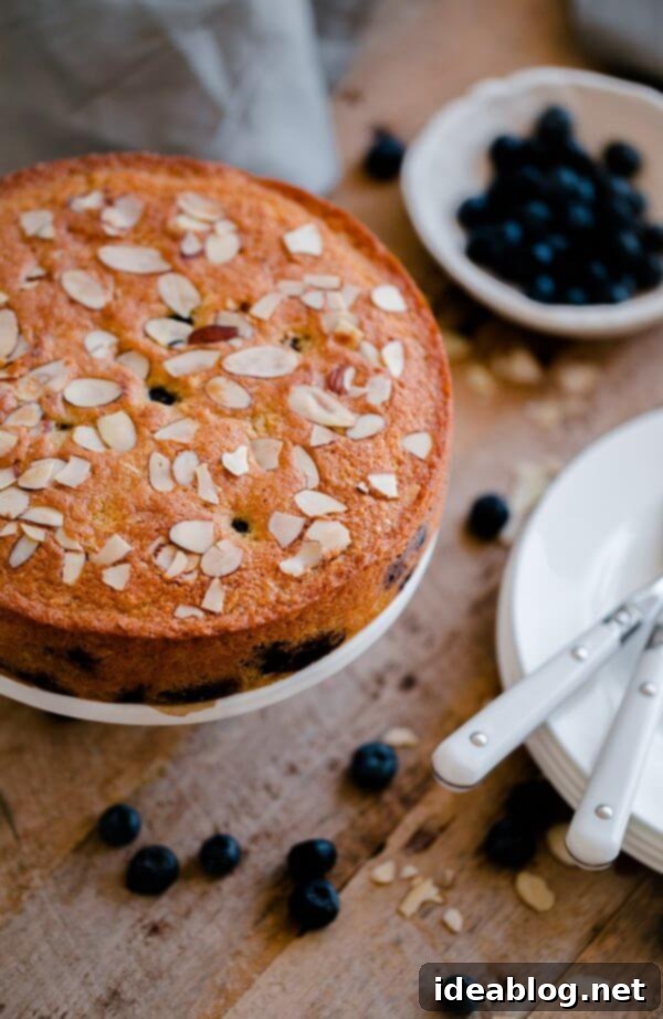 Artisan Blueberry Almond Tea Cake 3 Close-up shot of Blueberry Almond Tea Cake, showcasing its moist crumb and visible blueberries.