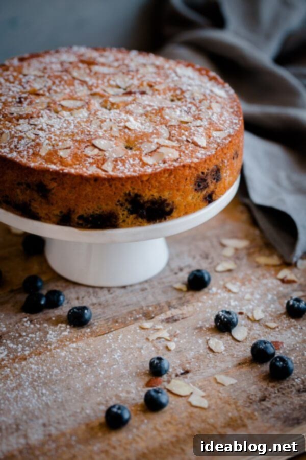 Artisan Blueberry Almond Tea Cake 7 Elegant presentation of Blueberry Almond Tea Cake with a cup of tea.