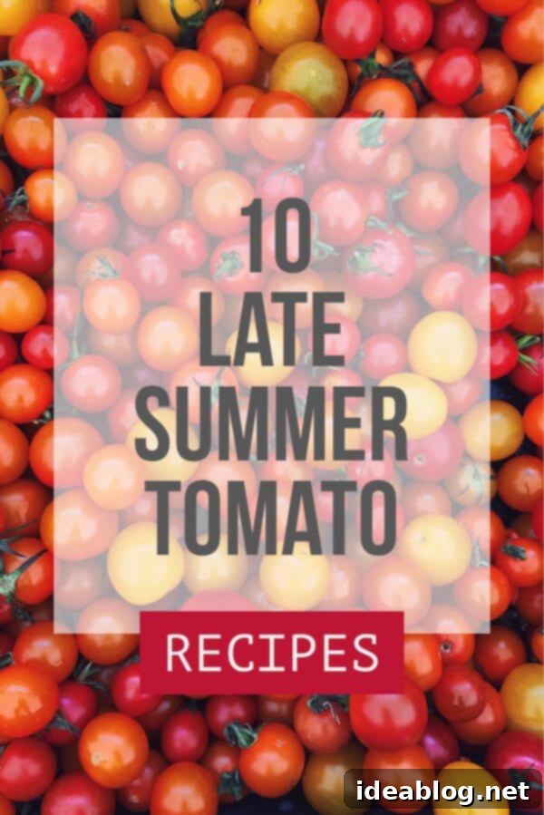 Sun-Ripened Tomato Delights 2 Late Summer Tomato Recipes - 10 mouth-watering, delicious recipes using fresh summer tomatoes!