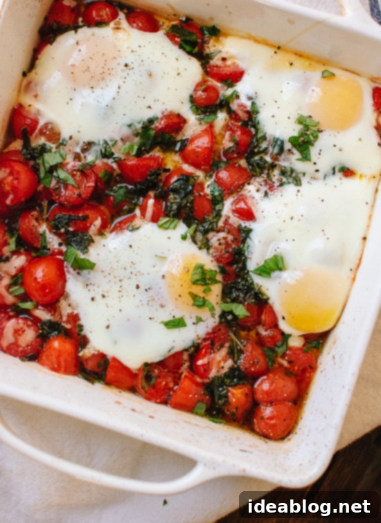 Sun-Ripened Tomato Delights 12 Late Summer Tomato Recipes