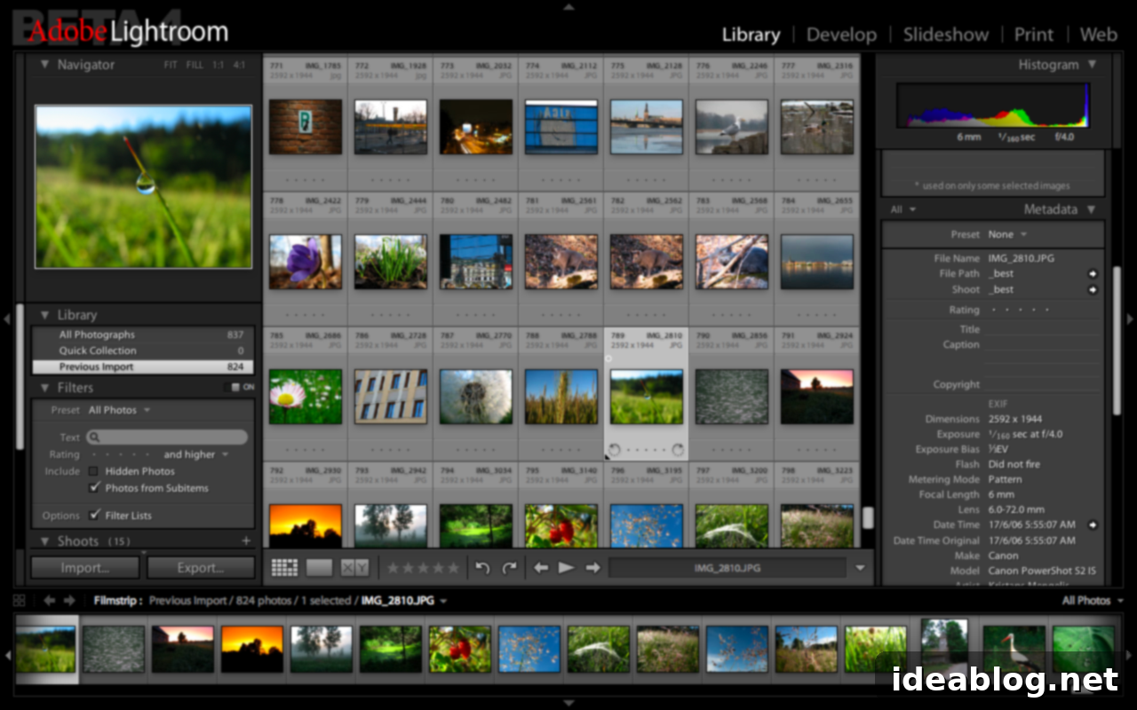 The Ultimate Photography Guide 3 all-in-one-photography-post2 - Photo editing software bug explained