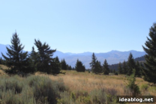 The Ultimate Photography Guide 4 all-in-one-photography-post3 - Unedited Montana photo