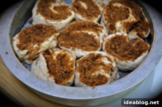 Easy No-Yeast Cinnamon Rolls 7 Yeast Free Cinnamon Rolls in Baking Pan - Unbaked cinnamon rolls arranged in a round baking pan, ready for the oven.