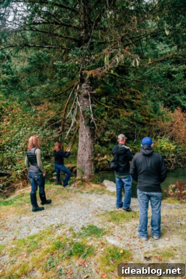Copper River Salmon: The Saga Continues 25 My Week in Cordova, Alaska