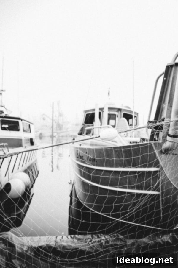 Copper River Salmon: The Saga Continues 4 My Week in Cordova, Alaska