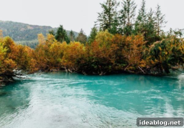 Copper River Salmon: The Saga Continues 32 My Week in Cordova, Alaska