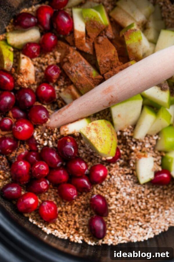 Cozy Slow Cooker Apple Cranberry Steel Cut Oats 3 Slow Cooker Steel Cut Oats with Apples and Fresh Cranberries