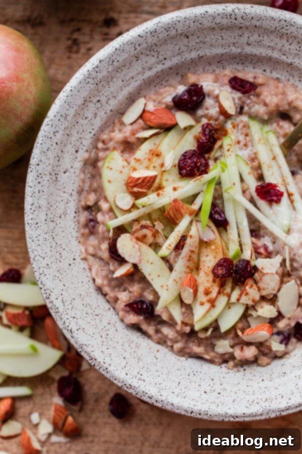 Slow Cooker Steel Cut Oats - an recipe for hearty steel cut oats made in a slow cooker or crockpot! This cozy fall breakfast recipe can be prepped the night before and be ready for you the next morning. #recipe #breakfast #steelcut #oats #easy #slowcooker #crockpot #abeautifulplate Slow Cooker Steel Cut Oats with Apple and Cranberries