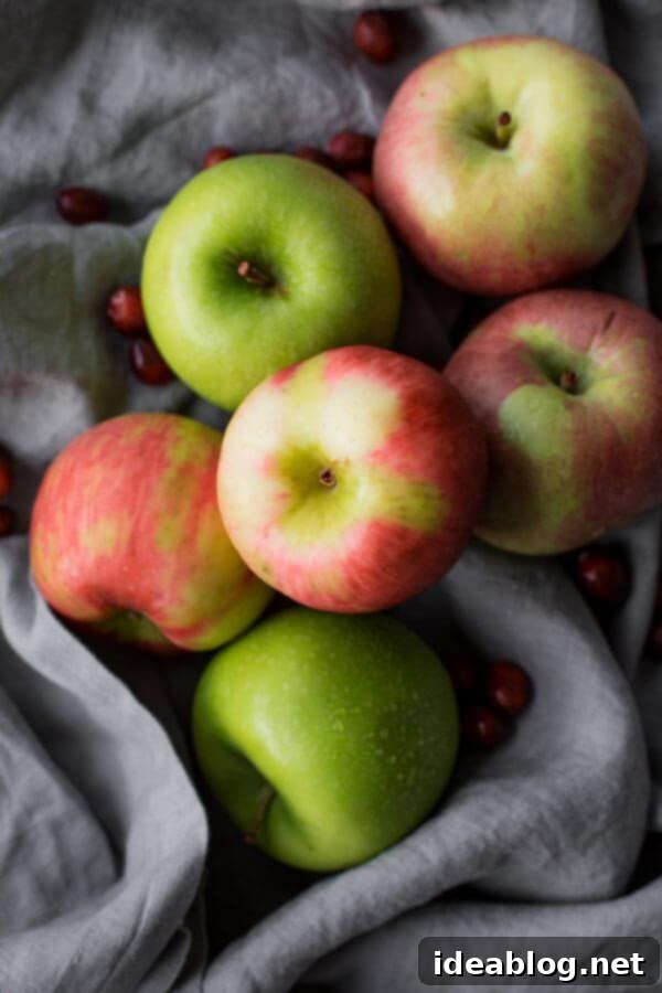 Cozy Slow Cooker Apple Cranberry Steel Cut Oats 4 Fresh Apples