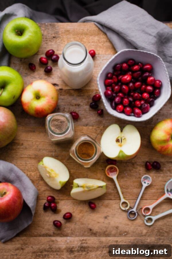 Cozy Slow Cooker Apple Cranberry Steel Cut Oats 5 Slow Cooker Steel Cut Oats Ingredients