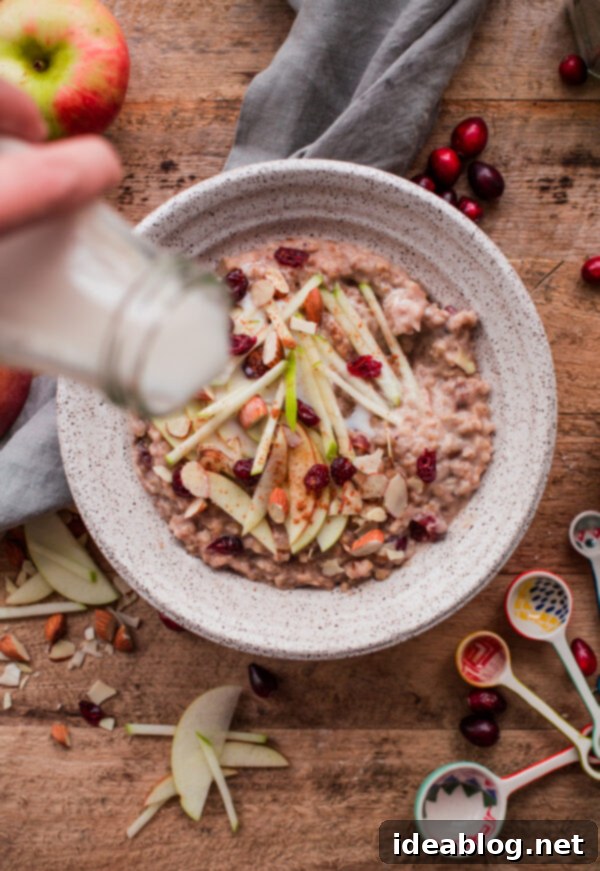 Slow Cooker Steel Cut Oats - an recipe for hearty steel cut oats made in a slow cooker or crockpot! This cozy fall breakfast recipe can be prepped the night before and be ready for you the next morning. #recipe #breakfast #steelcut #oats #easy #slowcooker #crockpot #abeautifulplate Slow Cooker Steel Cut Oats with Apple and Cranberries