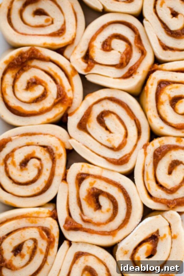 Pumpkin Butter Rolls with Zesty Creme Fraiche Frosting 5 Sweet Rolls Filled with Homemade Pumpkin Butter