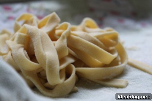 Crafting Chickpea Pasta From Scratch 2 Homemade Chickpea Flour Pasta