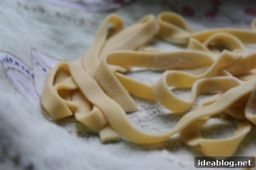 Crafting Chickpea Pasta From Scratch 9 Homemade Chickpea Flour Pasta