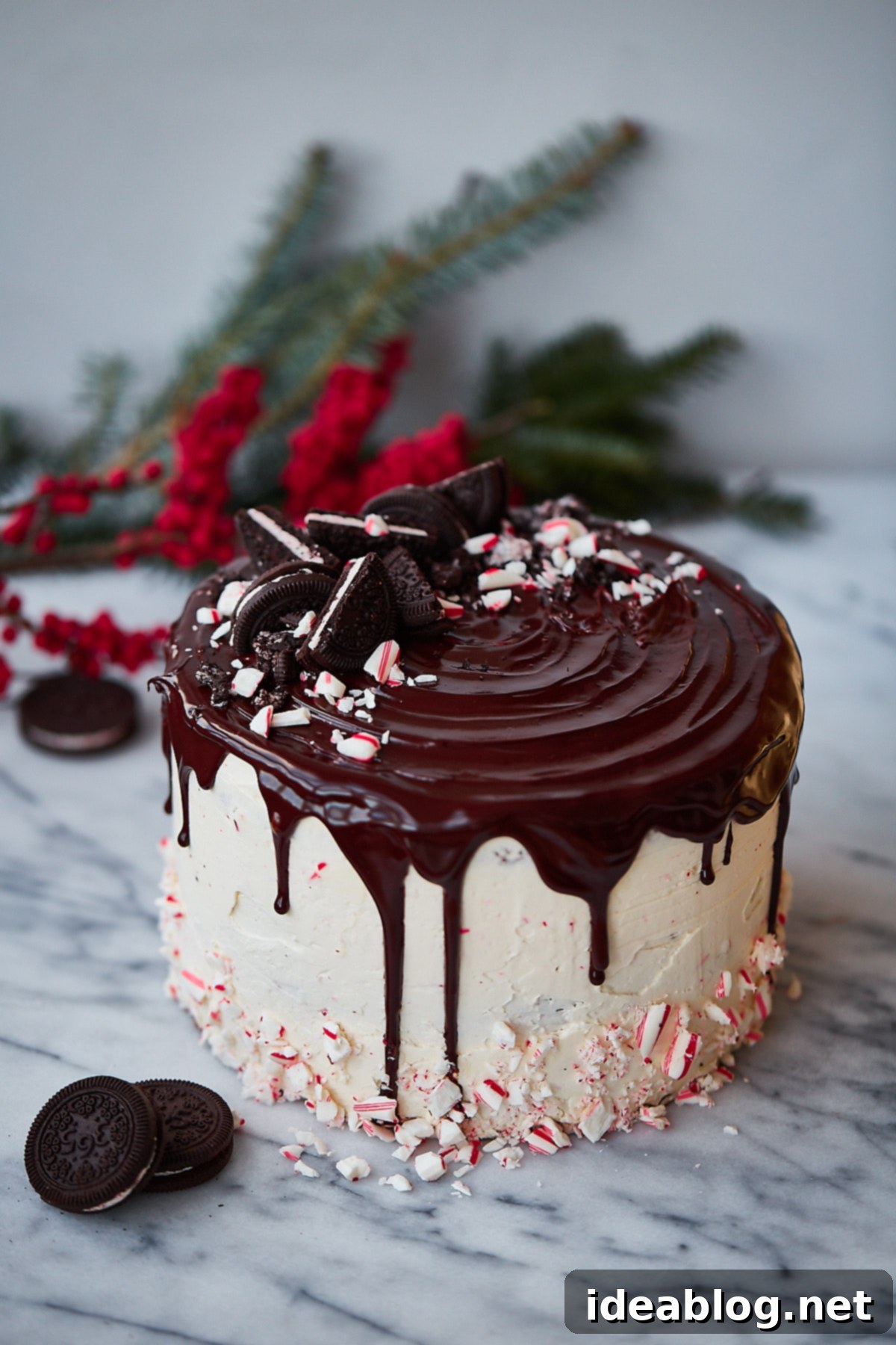 Candy Cane Crunch Cake - triple layer chocolate cake recipe with peppermint Swiss meringue buttercream, chocolate glaze, and topped with candy cane pieces. A decadent layer cake recipe for the holiday season! #cake #holiday #christmas #peppermint #candycane #recipe #dessert #abeautifulplate Festive Candy Cane Crunch Cake: A triple layer chocolate cake with peppermint Swiss meringue buttercream, rich chocolate glaze, and crushed candy cane topping. The perfect decadent holiday dessert recipe.