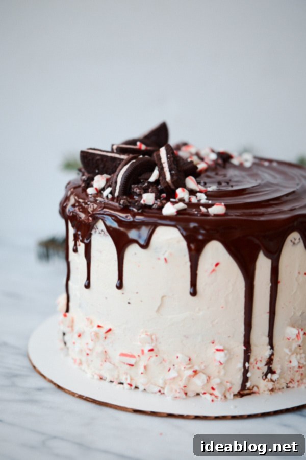 Candy Cane Crunch Cake - triple layer chocolate cake recipe with peppermint Swiss meringue buttercream, chocolate glaze, and topped with candy cane pieces. A decadent layer cake recipe for the holiday season! #cake #holiday #christmas #peppermint #candycane #recipe #dessert #abeautifulplate Candy Cane Crunch Cake, showcasing a perfect slice of this peppermint chocolate layer cake with creamy Swiss meringue buttercream and chocolate glaze.