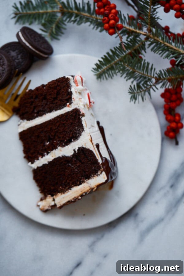 Peppermint Blizzard Crunch Cake 2 Candy Cane Crunch Cake. Peppermint chocolate layer cake filled with candy cane Swiss meringue buttercream and topped with peppermint ganache. Perfect celebration cake for the holidays!