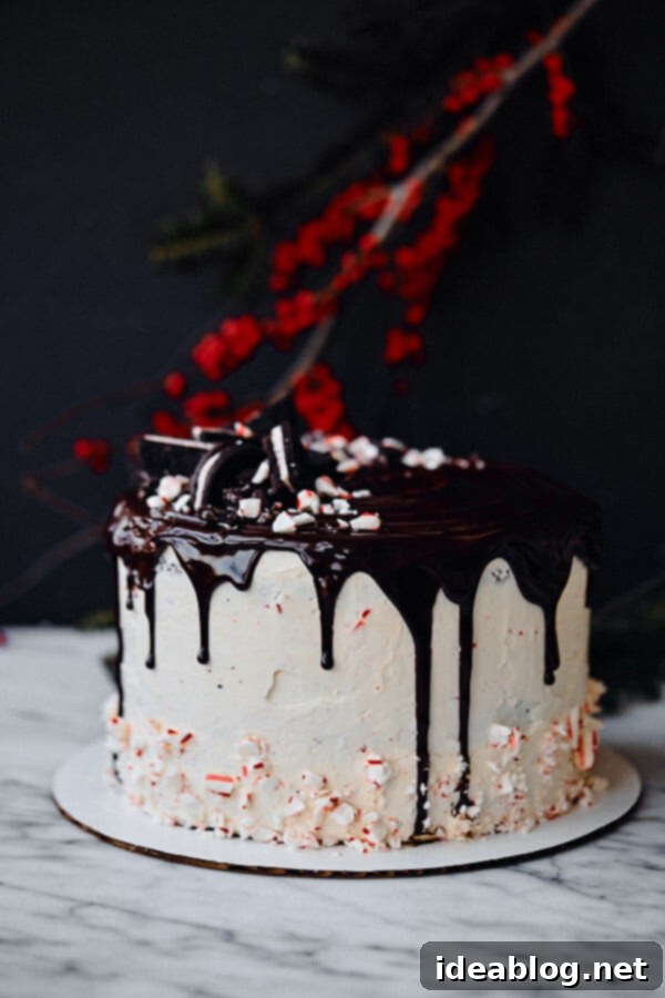 Peppermint Blizzard Crunch Cake 3 Candy Cane Crunch Cake. Peppermint chocolate layer cake filled with candy cane Swiss meringue buttercream and topped with peppermint ganache. Perfect celebration cake for the holidays!