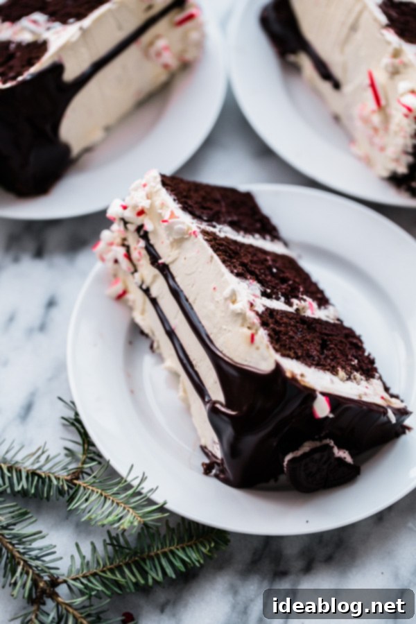Candy Cane Crunch Cake - triple layer chocolate cake recipe with peppermint Swiss meringue buttercream, chocolate glaze, and topped with candy cane pieces. A decadent layer cake recipe for the holiday season! #cake #holiday #christmas #peppermint #candycane #recipe #dessert #abeautifulplate A stunning slice of Candy Cane Crunch Cake, revealing its moist peppermint chocolate layers, creamy Swiss meringue buttercream, and decadent chocolate glaze.