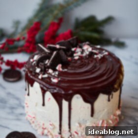 Peppermint Blizzard Crunch Cake 4 Candy Cane Crunch Cake. Peppermint chocolate layer cake filled with candy cane Swiss meringue buttercream and topped with peppermint ganache. Perfect celebration cake for the holidays!