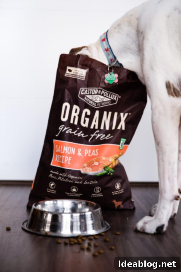 Journeys with Marley 15 A happy rescue dog, Marley, with his favorite Organix Grain-Free Dog Food