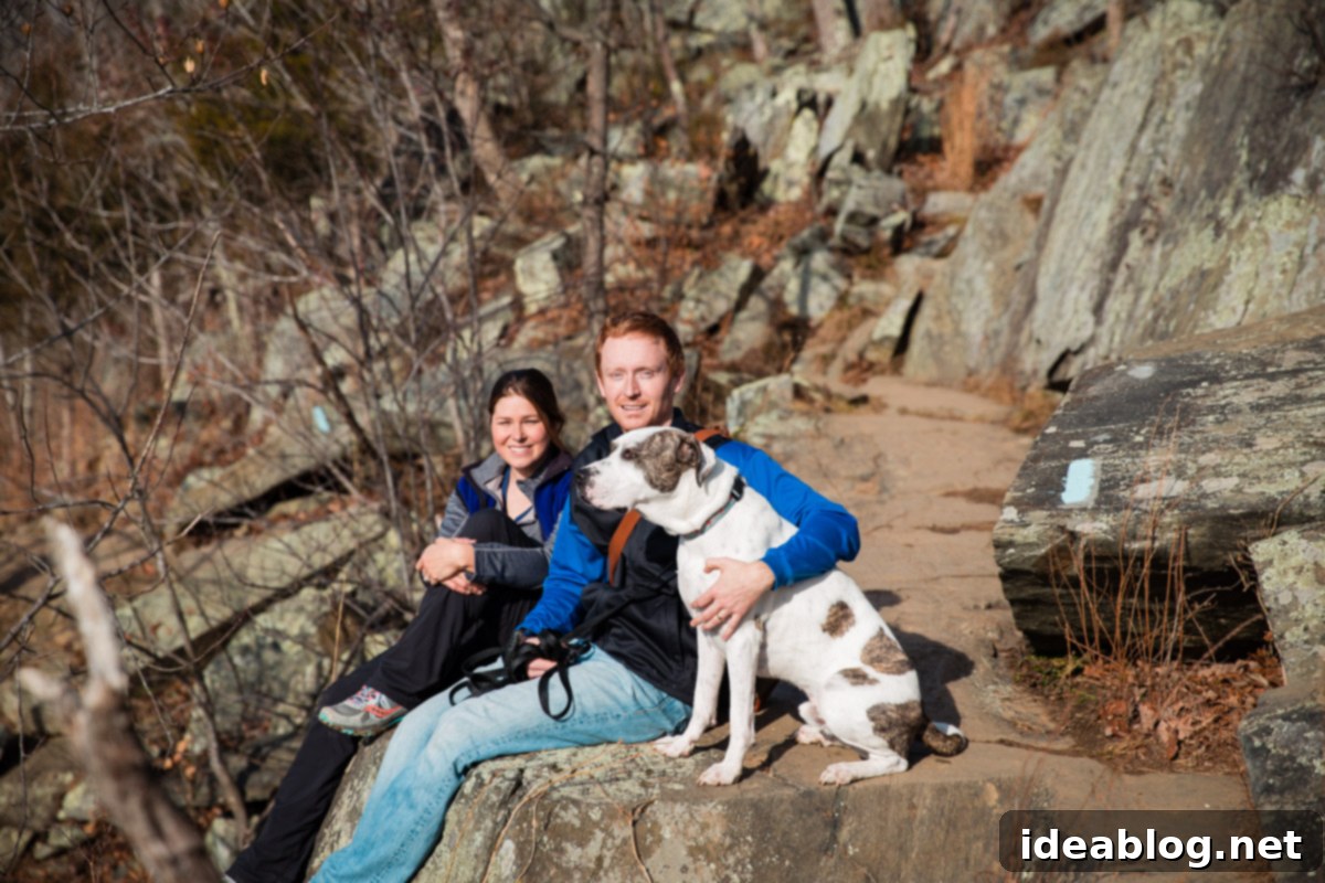 Journeys with Marley 3 Adventures with Marley - fueled by Organix Grain-Free Dog Food