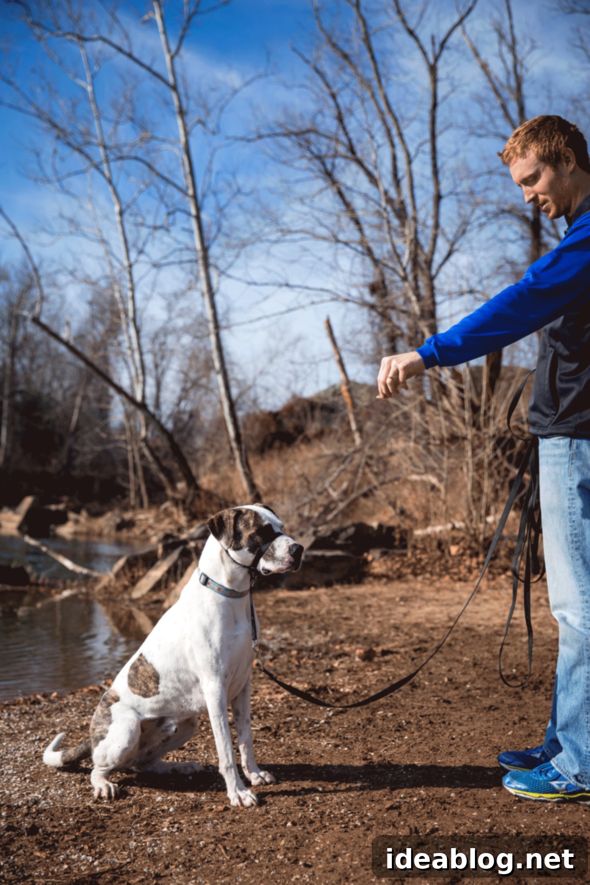 Journeys with Marley 4 Adventures with Marley - fueled by Organix Grain-Free Dog Food
