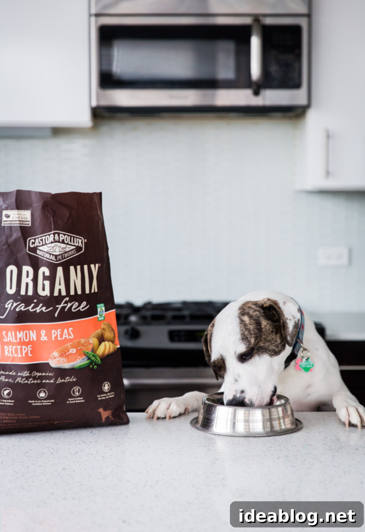 Journeys with Marley 5 Adventures with Marley - fueled by Organix Grain-Free Dog Food