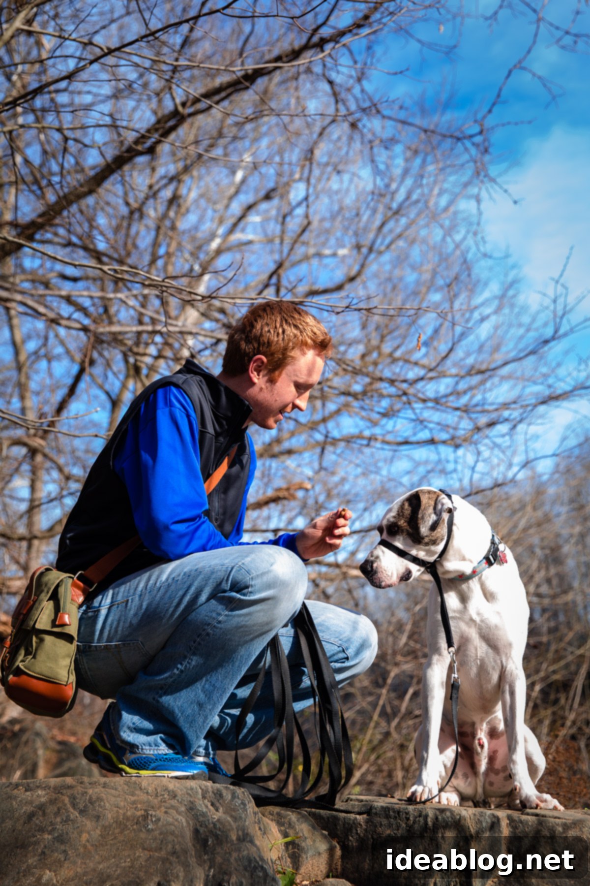 Journeys with Marley 8 Adventures with Marley - fueled by Organix Grain-Free Dog Food